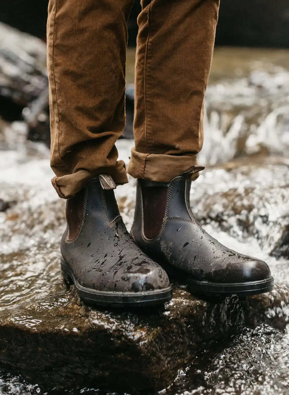 Men's Originals #500