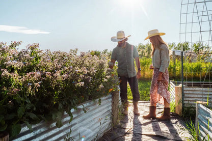 Men's Originals #2529