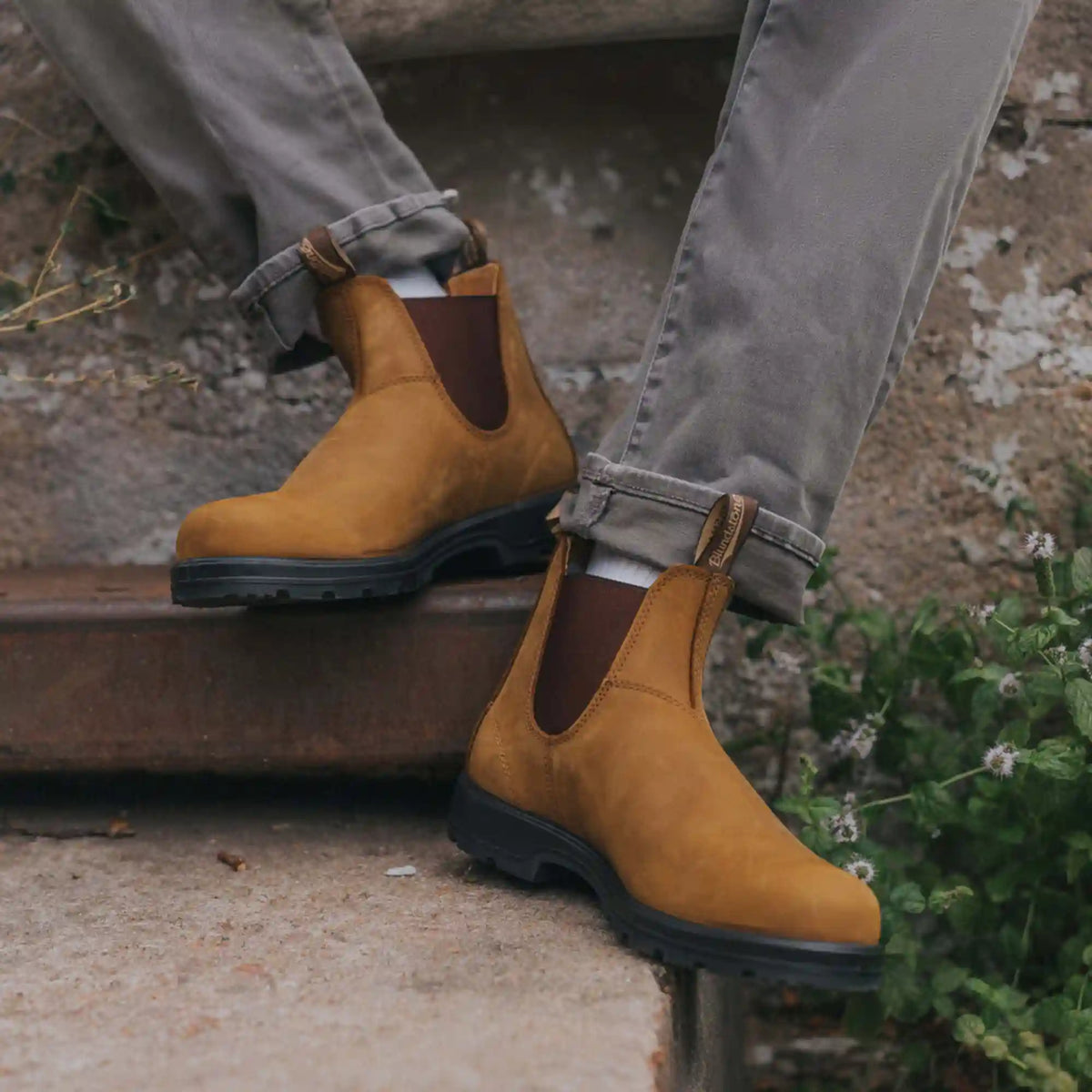 Men's Classics #562